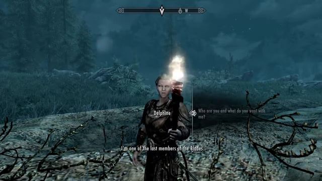 TGM Plays: Skyrim Special Edition #29 смотреть онлайн