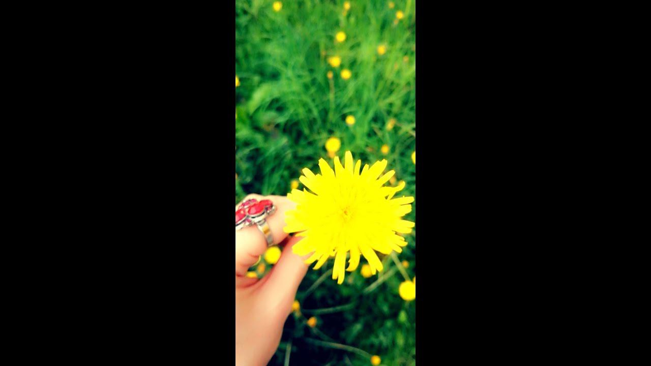 ⚪⚪⚪ смотреть онлайн