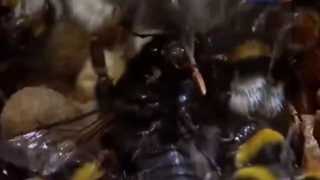 Архитектурный Мир