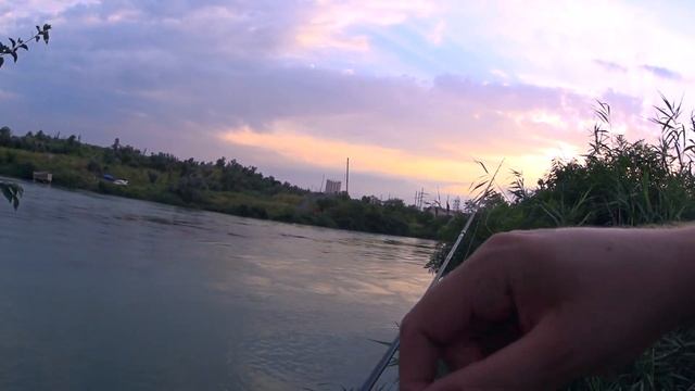 Поймать судака Рыбалка Ставрополь смотреть онлайн