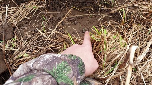 Покопал с камрадом монетки и не только... смотреть онлайн