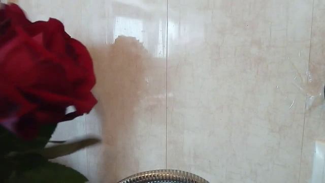 Дела субботние/цветы ещё не осыпались/ёлки не приживаются?! смотреть онлайн