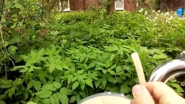 Подготовка дубовой бочки!!! Эпизод 3. смотреть онлайн