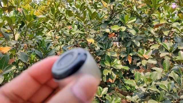 JBL | World's Smallest Bluetooth Speaker @ ₹260 Only ?| Unboxing And In-depth Review ?? смотреть онлайн