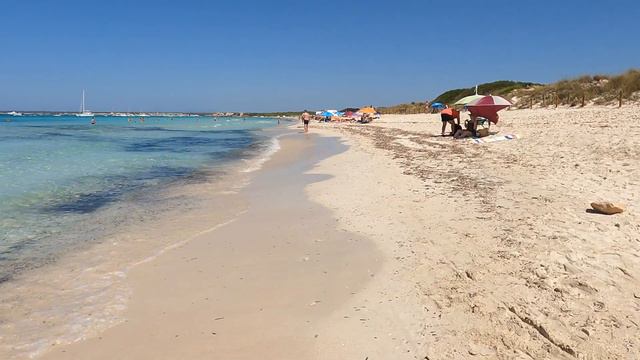 🇪🇦 Es TRENC | DREAM beach from MALLORCA island | july 2023 Spain | 4K Beach walk смотреть онлайн