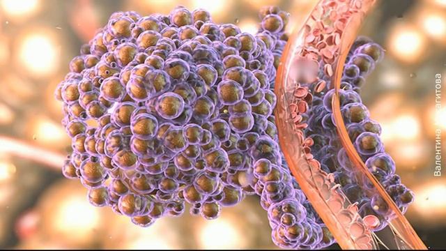 ❀ Одуванчик претендует на роль самого лучшего средства от рака смотреть онлайн