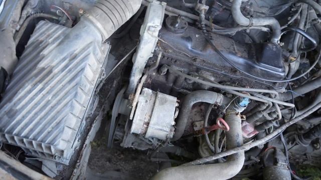 Starting Volkswagen Golf 2 After 7 Years + Test Drive