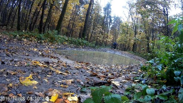 B'twin.Просто лужа в лесу смотреть онлайн