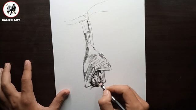 Night's Silent Aviator | Sketching the Grace of a Bat | Bird Sketch | @DamziiArt | 79 смотреть онлайн