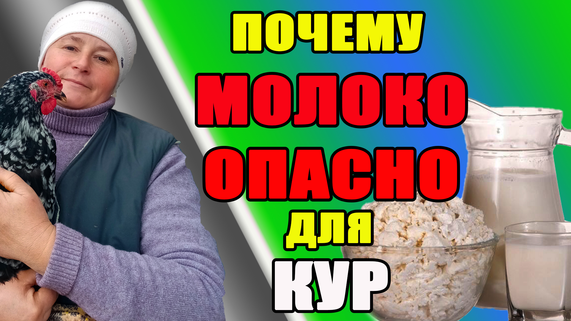 Почему МОЛОКО опасно для кур. Можно ли курам кисломолочные продукты. смотреть онлайн