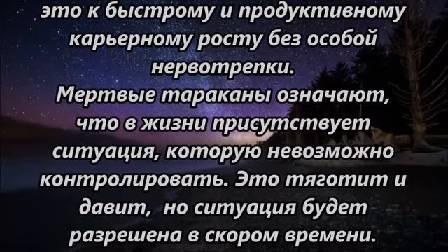 К чему снятся тараканы смотреть онлайн