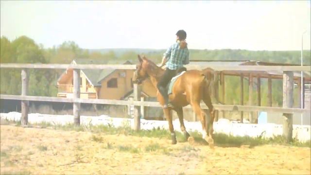 Лето 2016 смотреть онлайн