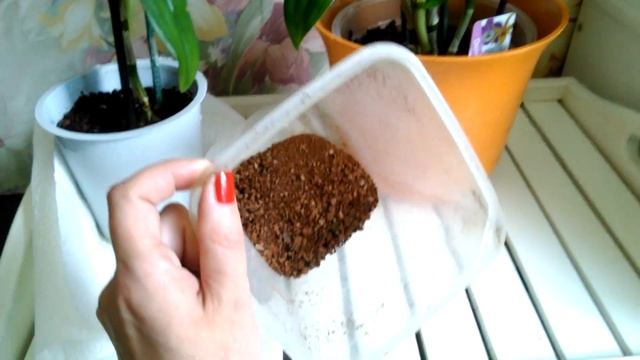 Пересадила Дендробиум Нобиле! Выбранный субстрат. смотреть онлайн