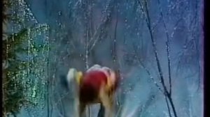 голубой огонёк 1980/81