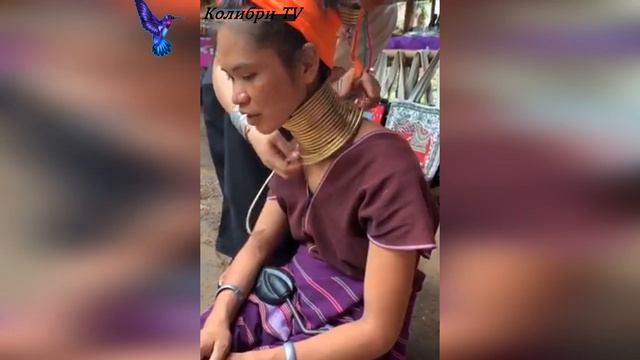 Женщины - жирафы: зачем они удлиняют шею смотреть онлайн