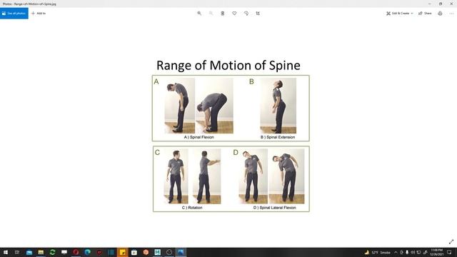 SPINE Posture Range of Motion - Animation Body Mechanics Tutorial اردو हिन्दी смотреть онлайн