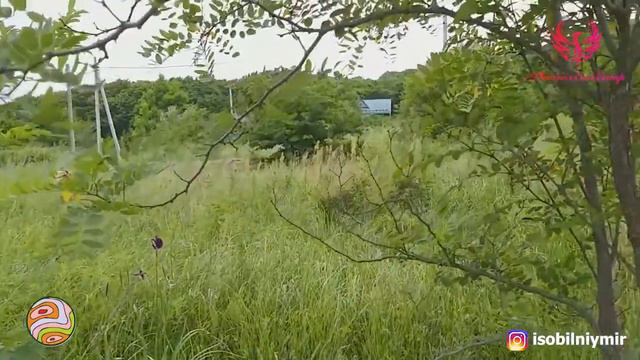 Андрей Деговцов о поликультуре Введение в пермакультуру смотреть онлайн