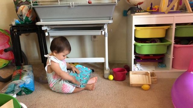 Сортировка мусора и Веганство смотреть онлайн