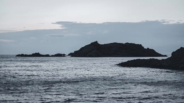 a twilight comfort playlist (driving through forks) смотреть онлайн