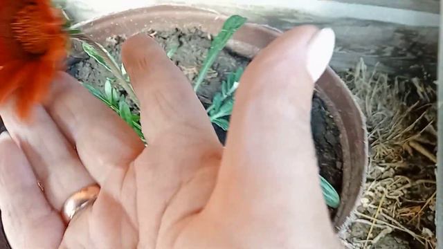 Ну вот, наконец то пришла весна!☀️☺️ смотреть онлайн