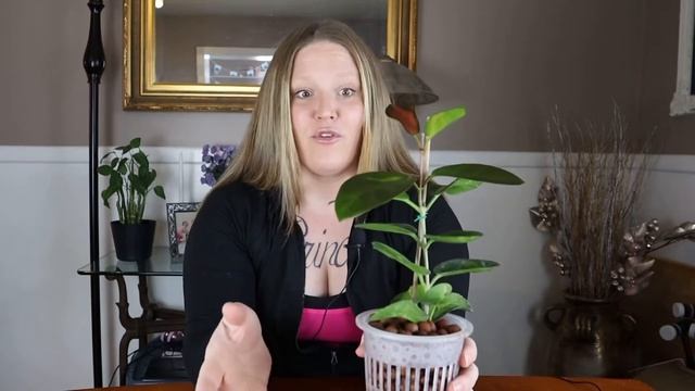 Hoya Australis Lisa Care! ||Spilling the Soil Ep. 4|| Hoya Care! смотреть онлайн