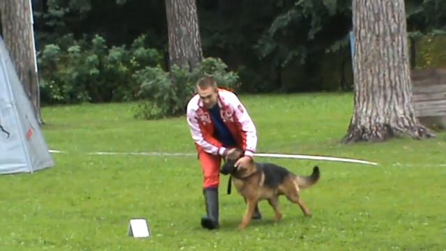 САМАРА ЛАНД УЛЬФ,выр ,отпускает смотреть онлайн