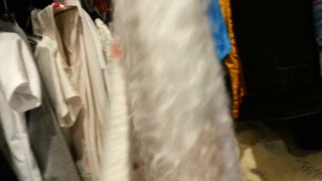 Выхожу на улицу без одежды ? смотреть онлайн