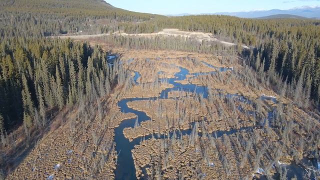 DJI Mavic Air 2 & Pocket 2 | 4K | Part 2: A Walk in the Wild - Frosty Yukon Wetland смотреть онлайн