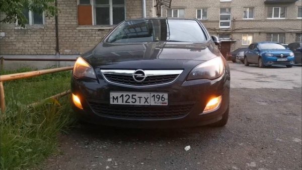 petal_20220531_212945.mp4