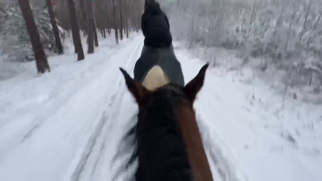ŚNIEŻNY TEREN ❄️ смотреть онлайн