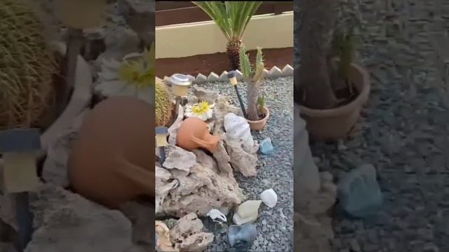 Продажа недвижимости дом на Южном Кипре