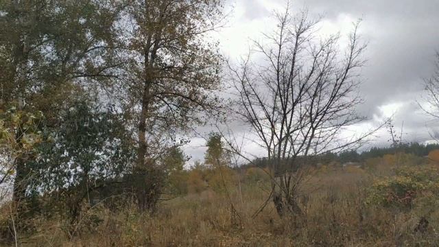 26 октября праздник Агафонов день , Банное обиходье . Народные приметы и традиции смотреть онлайн