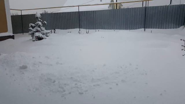 МНОГО СНЕГА АЛМАТЫ. ЗИМА 2016-2017 . SO MUCH SNOW ALMATY смотреть онлайн