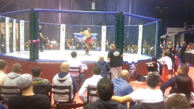 Balkan championship-Tirana,Albania смотреть онлайн