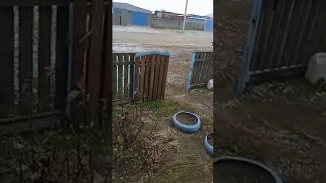 Мужик купил мотособаку. Реакция жены. смотреть онлайн
