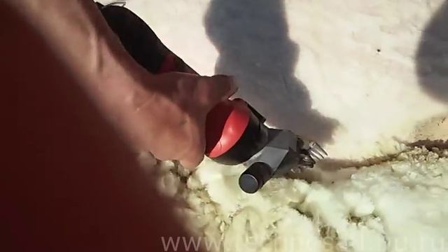 Стрижка овец электрической машинкой. смотреть онлайн