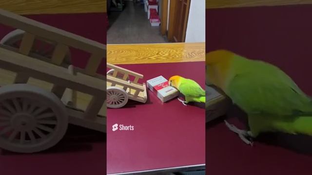 С этим товарищем курить не бросишь...... смотреть онлайн