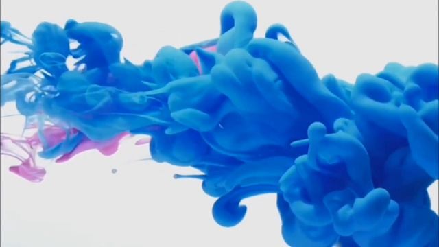 ?ЭДИСОН ПРИЛЕТЕЛ В НОВОСИБИРСК, КАТЕ ? смотреть онлайн