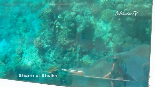 Sharm el Sheikh, Naama bay, Walk on the boat смотреть онлайн