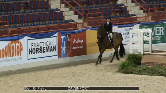 234 DAVENPORT Dani Di Pietro, Class 152 Amateur Owner Hunter 3'3 18 35 смотреть онлайн