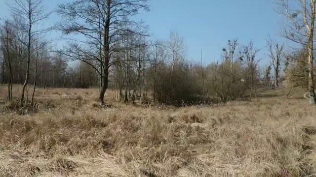 Боровица#2 смотреть онлайн