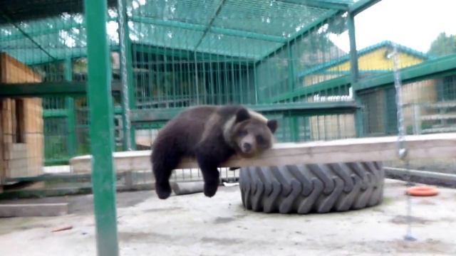 Как выглядит настоящая жара смотреть онлайн