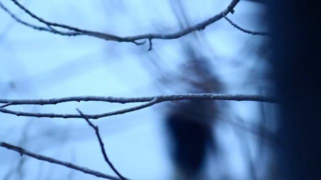 Eric Roussin fishing intro смотреть онлайн