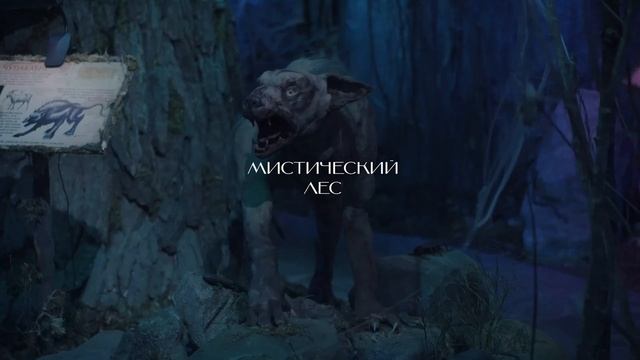 БЕСТИАРИЙ - музей криптозоологии в СПб смотреть онлайн