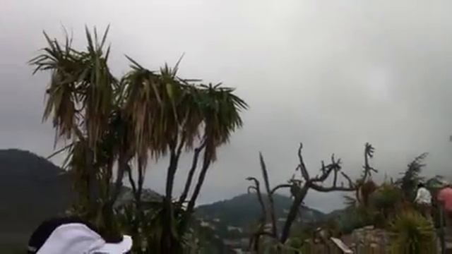 Цветы и растения во Франции смотреть онлайн