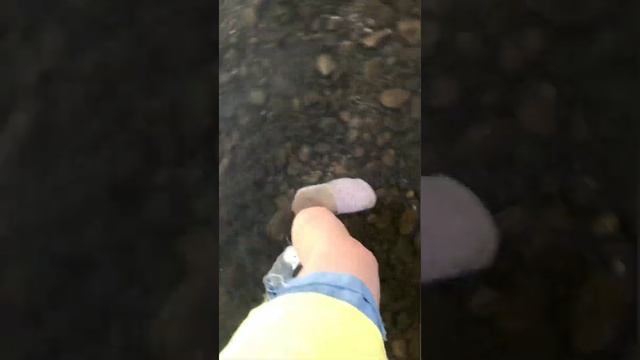 Как плавают крысы? смотреть онлайн