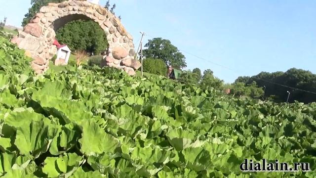 Mosar - Belarusian Versailles