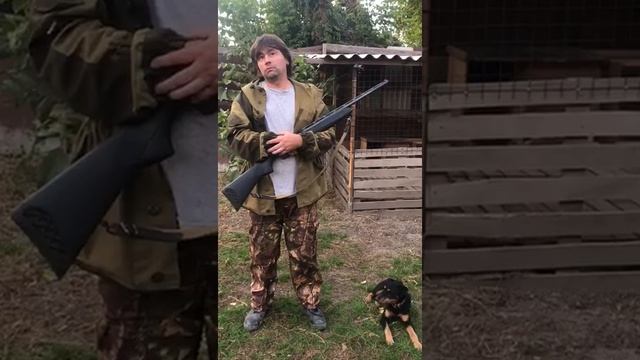 Отзыв Николая Ласточкина на дрессировку ягдтерьера по методике ЛиРОС смотреть онлайн
