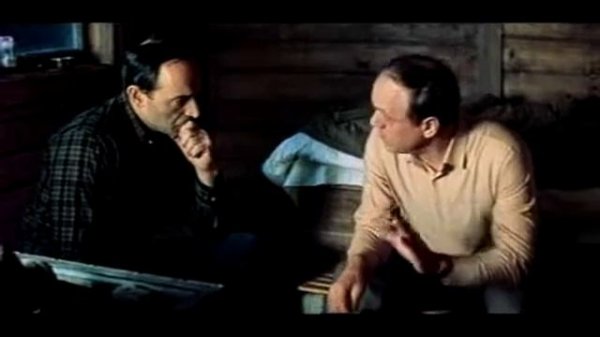 ЗАКАЗНЫЕ БК МК год теленка