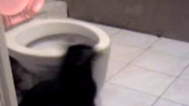 я устал! хочу любви! смотреть онлайн